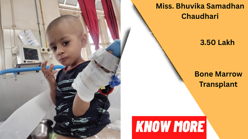 Miss. Bhuvika Samadhan Chaudhari